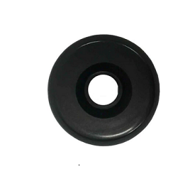 Valve Cap 1 In Wf & Nj Mq 2013