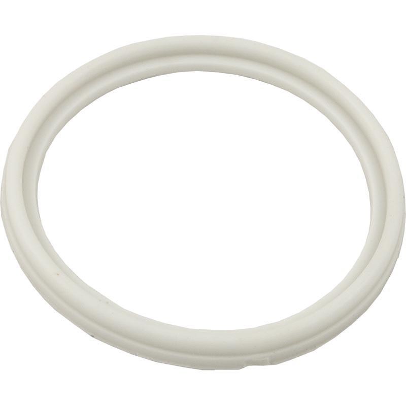 THERM 2.5IN HEATER/PUMP GASKET