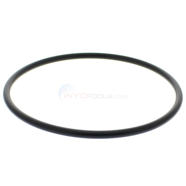 Strainer Cover O-Ring